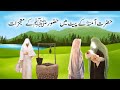 Bibi Amina ke pet mein me Huzoorﷺ Ke  mojzaat l Hazrat Muhammadﷺ Ki Paidaish Ka Waqia| Elizai nfo