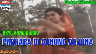 ARYA KAMANDANU 17 - PRAHARA DI GUNUNG ARJUNA - Dendam Sakawuni kepada pejabat Singosari