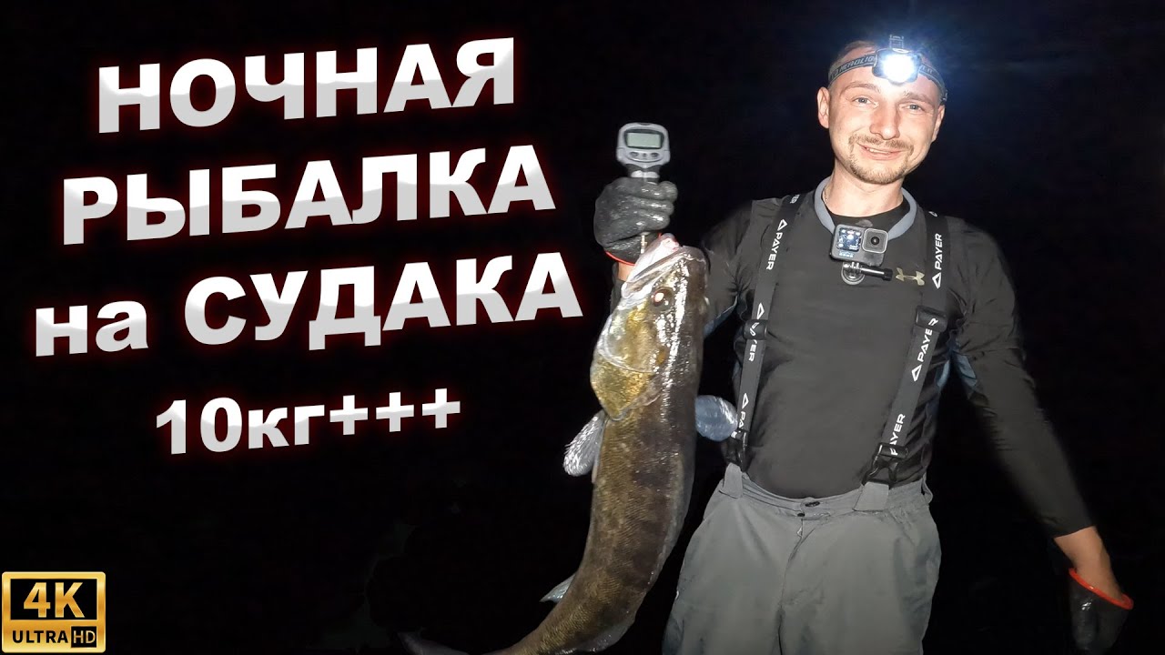 НОЧНАЯ РЫБАЛКА НА СУДАКА