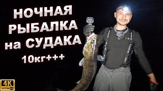 НОЧНАЯ РЫБАЛКА НА СУДАКА