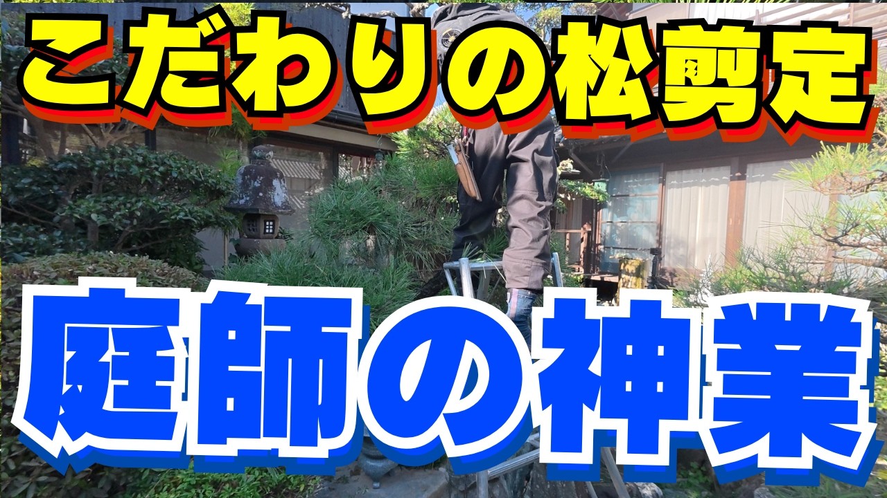 【庭師の神業】岡山で黒松の剪定｜暮らしに寄り添う侘び寂びの庭づくり
