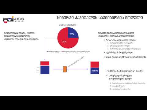 სინერჯი კაპიტალი - საქმიანობის მოდელი