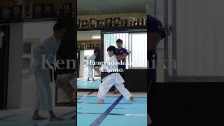 Chinto #karate #琉球空手 #sports