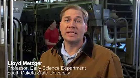 Dairy Farming FAQ - Are There Antibiotics In Milk?