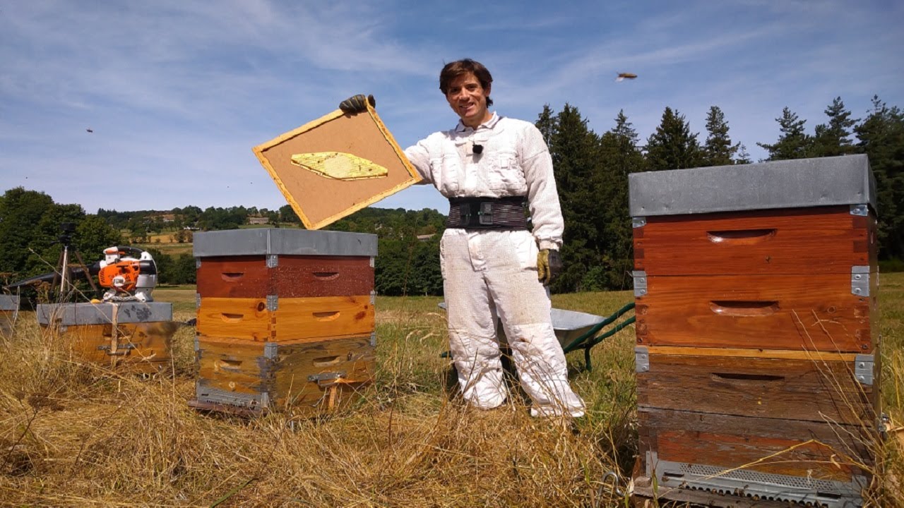 APICULTURE. E71 Là j'ai besoin de votre aide ! La récolte aux chasses abeilles (un peu énervé)