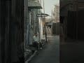 Lightroom colour grading tutorial. before and after| #lightroom #colourgrading #toturial #youtubesho