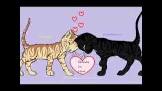 Leafpool and Crowfeather  Everytime We Touch