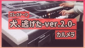 Mv カルメラ 犬 逃げた Ver 2 0 16 Calmera Youtube