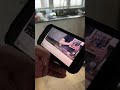 Vegan HATES Chef For Cooking