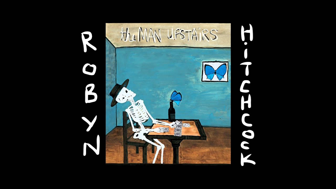 robyn hitchcock the ghost in you
