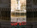 Water Fountain #love #flowers #water #happy #shortvideo #shorts