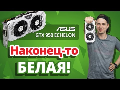 НУ ПОЧЕМУ ОНА ВСЕГО ЛИШЬ GTX 950?? ✔ Обзор видеокарты ASUS GTX 950 Echelon