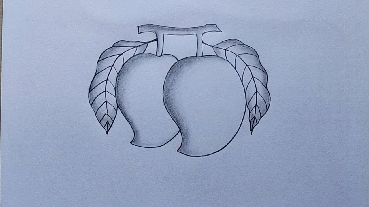 How to draw Mango step by step| Easy Mango drawing| Pencil drawing| Mango Fruits drawing easy
