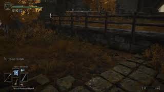8-5-24 nerdtree