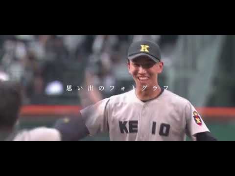 夏の甲子園2023　ハイライト　49校の戦い