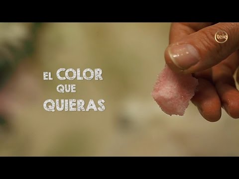 Cortito de La Receta: ¿cómo hacer terrones de azúcar?