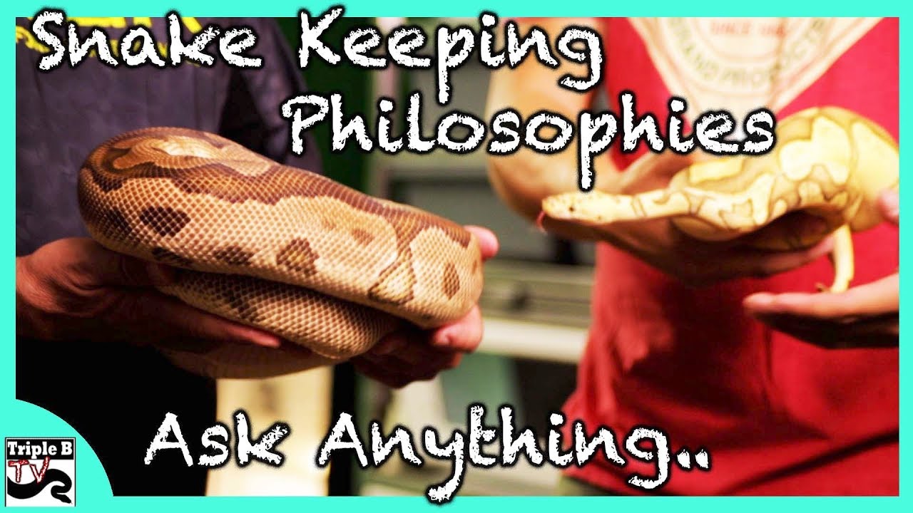 video phone beyonce mp3 The 1 thing I would do different - Ep.131