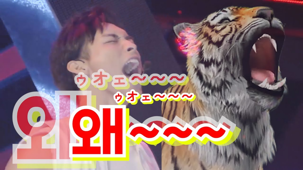 【KOREAN Reaction】 프로듀스101 재팬 그룹배틀 평가 『동방신기 - 왜(Keep Your Head Down)』 한국인 리액션 반응