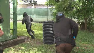 Civilians get chance to walk in shoes of Miami-Dade police officers
