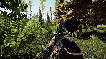 EFT Buonarrotii speed hack