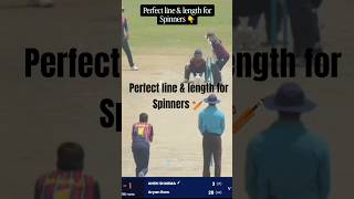 ideal line &amp; length for Spinners 🏏 #viral #adilrashid #spinbowling #legspin#cricket #ipl #fyp