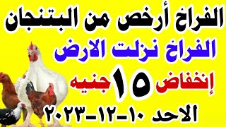 اسعار الفراخ البيضاء اليوم | سعر الفراخ البيضاء اليوم الاحد 10-12-2023 في مصر