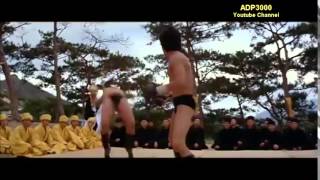 Bruce Lee Wins - Perfect