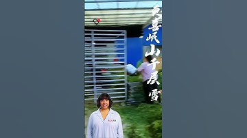 #fcnfm #machine From Harvesting to Storage: A Comprehensive Guide to Drying Rooms and Machines