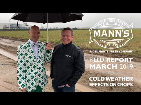 Video: March Crops