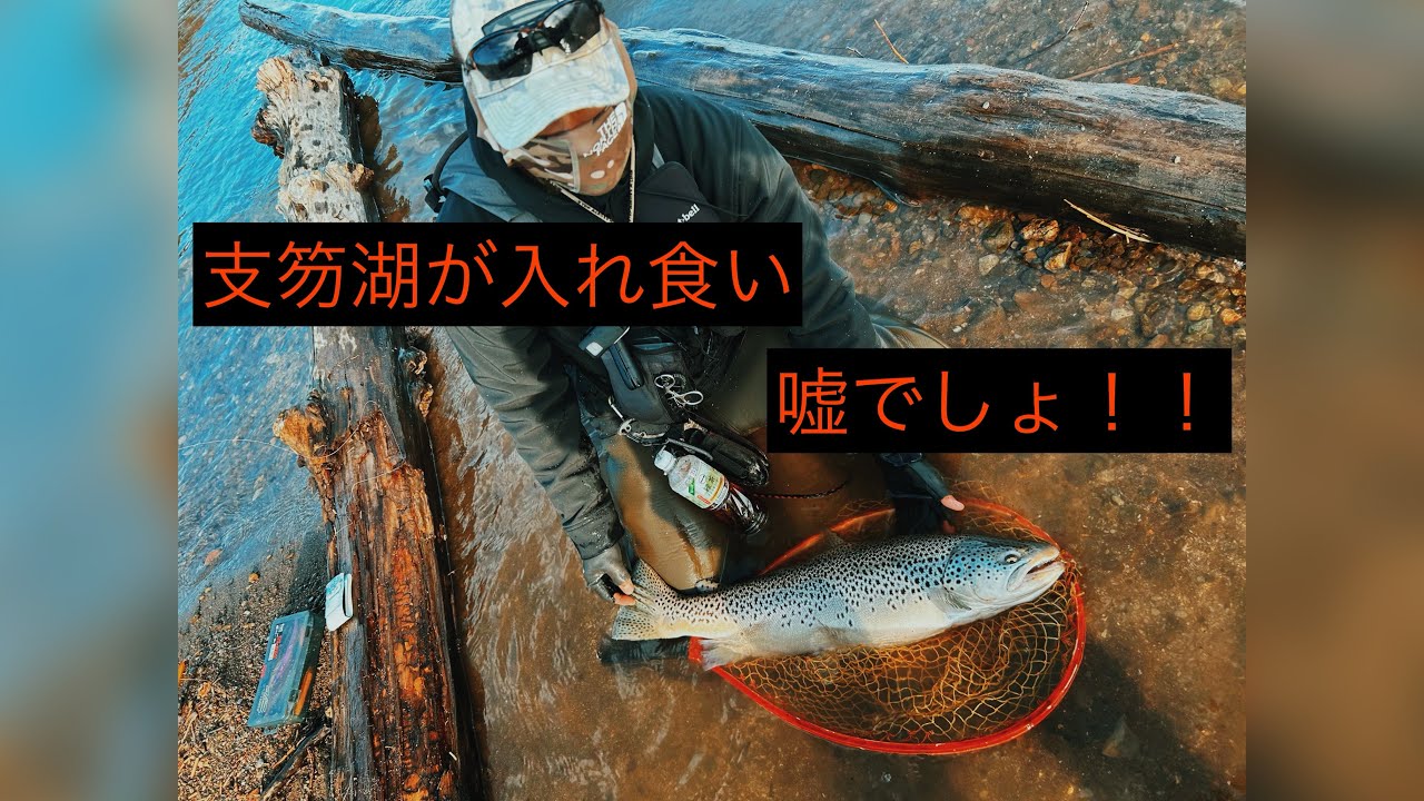 支笏湖入れ食い状態そんなことあります。50オーバー連発