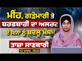 WEATHER REPORT | Punjab-Himachal Weather Forecast l 12 MARCH । THE KHALAS TV
