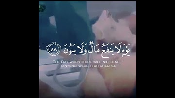 حالات واتس قرآن | ولاتخزني يوم يبعثون للشيخ رعد الكردي | من سورة الشعراء