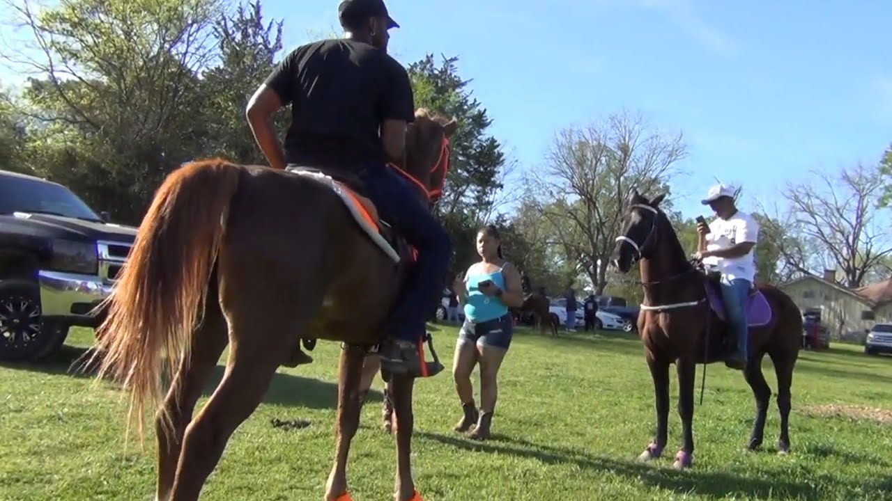 BEST DRESSED MARE CONTEST at Tollette Arkansas Trail Ride