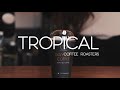 Tropical Coffee Roasters - Way Cup Coffee Roasters