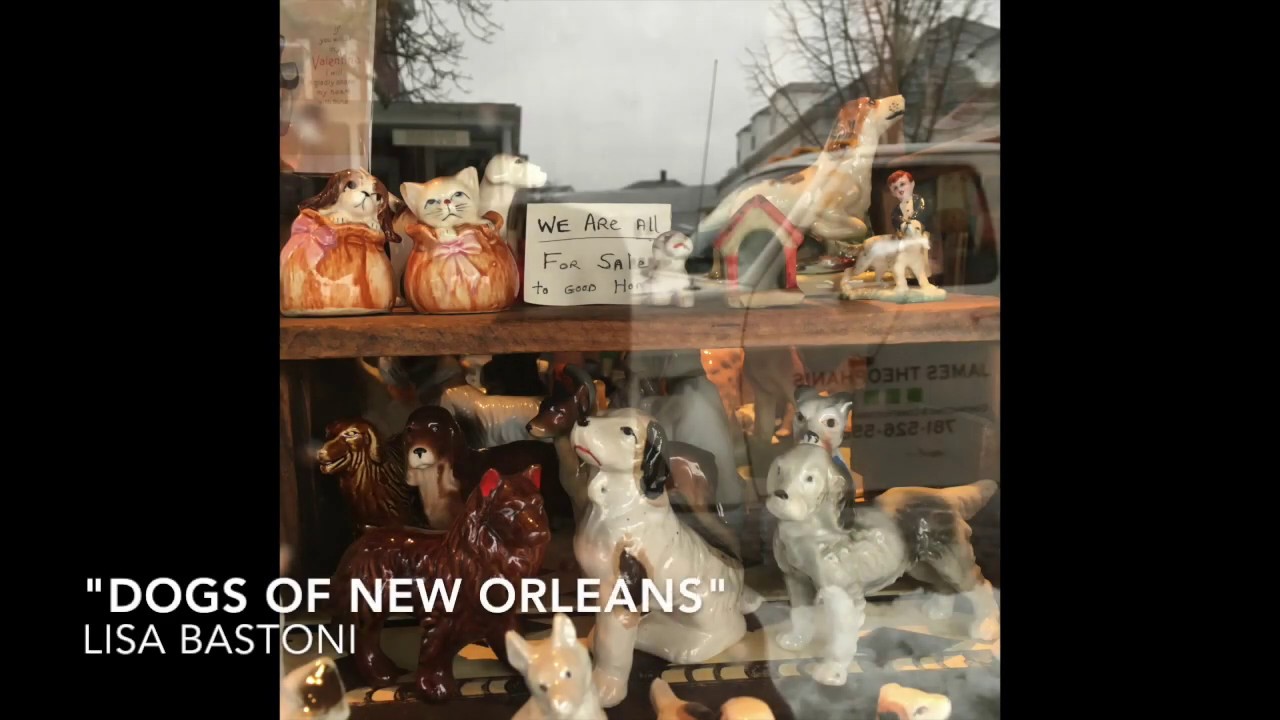 Lisa Bastoni "Dogs of New Orleans"
