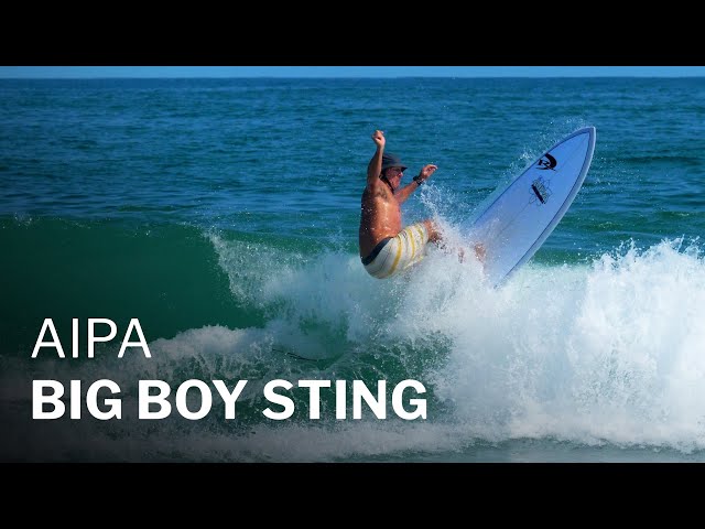 AIPA Big Boy Sting review