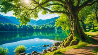 Relaxing Music Healing Stress, Anxiety and Depressive States, Heal Mind, Body and Soul Calming Music