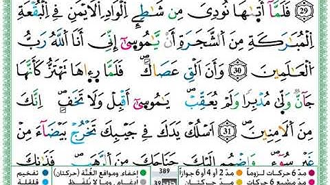 حمزة الجزائري سورة القصص مكتوبة برواية ورش عن نافع360P