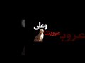 اغنية ياليتني كنت الوشق بدون موسيقى