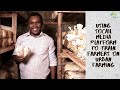 How I grow mushrooms in an 8X6 M room. I earn between 30,000-50K per month!