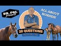 20 Questions With Dr. Pol - Dr. Pol Answers the Top 20 Horse Questions On Google. #drpol #horses