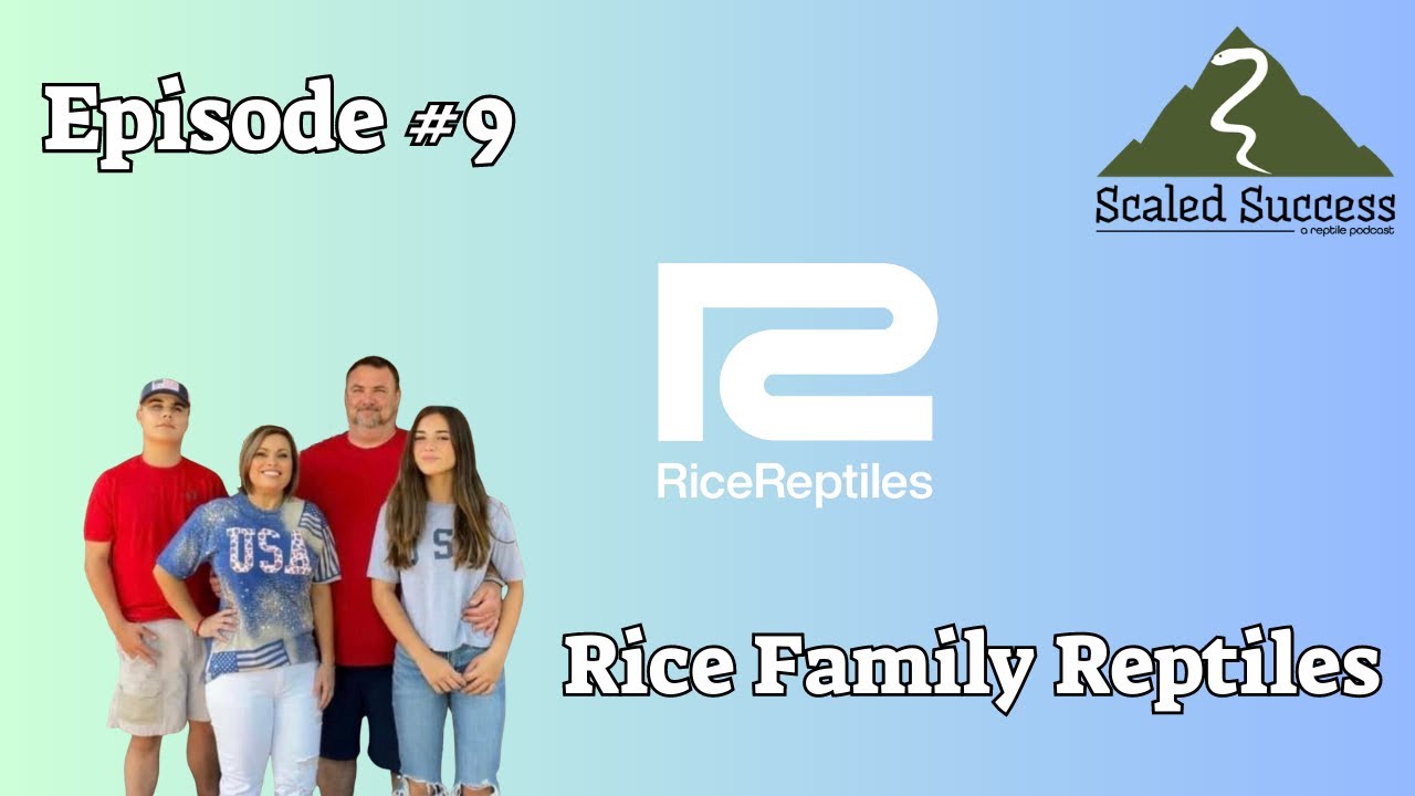 Scaled Success Reptile Podcast Episode #9 - Rice Family Reptiles - YouTube