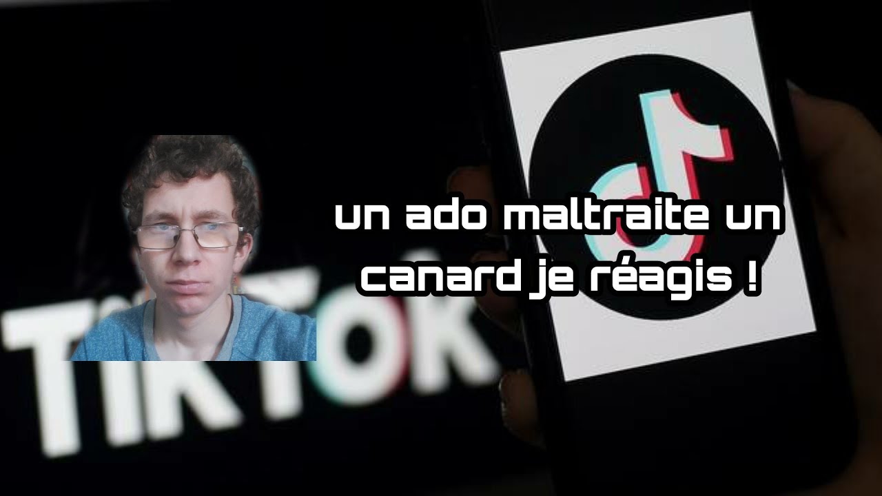 UN ADO MALTRAITE UN CANARD SUR TIK TOK JE RÉAGIS ! - YouTube