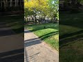 DIY Rolling Frisbee - Flick of the wrist