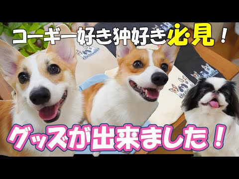 祝⭐︎初めてのグッズが出来ました!コーギー好き&狆好きさん必見です