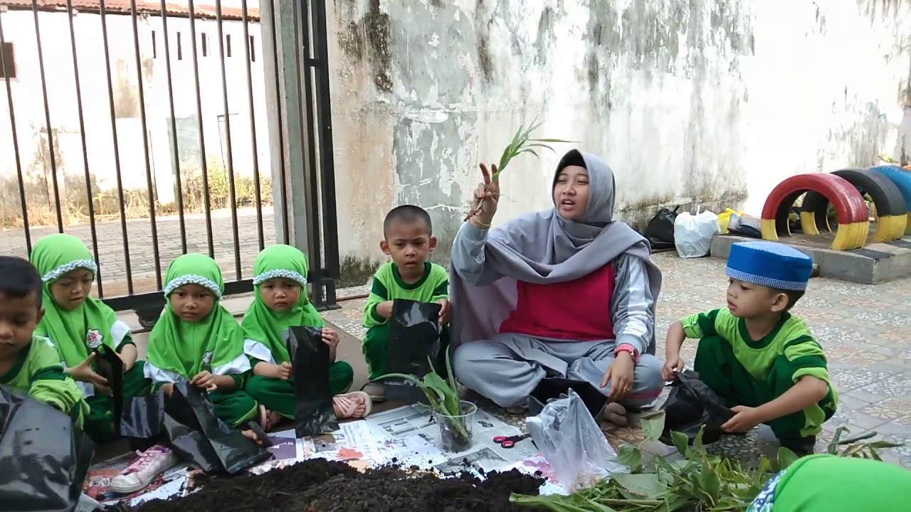 Menanam tanaman obat 