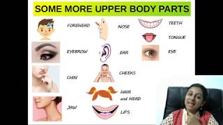 Parts of the body - detail