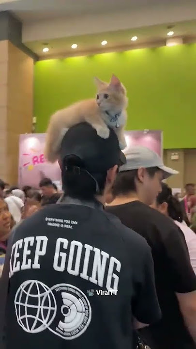 Tak sakit tengkuk ke leng cai?