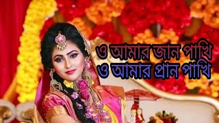 ও আমর জন পখ... ও আমর পরন পখ Oamer Jan Pakhi...o Amer Pran Pakhisb Music Life