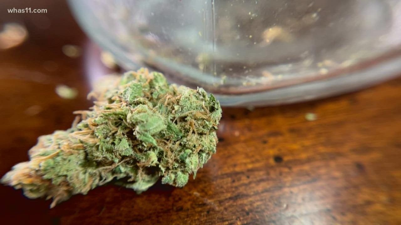 Delta-8 debate: Is it legal?